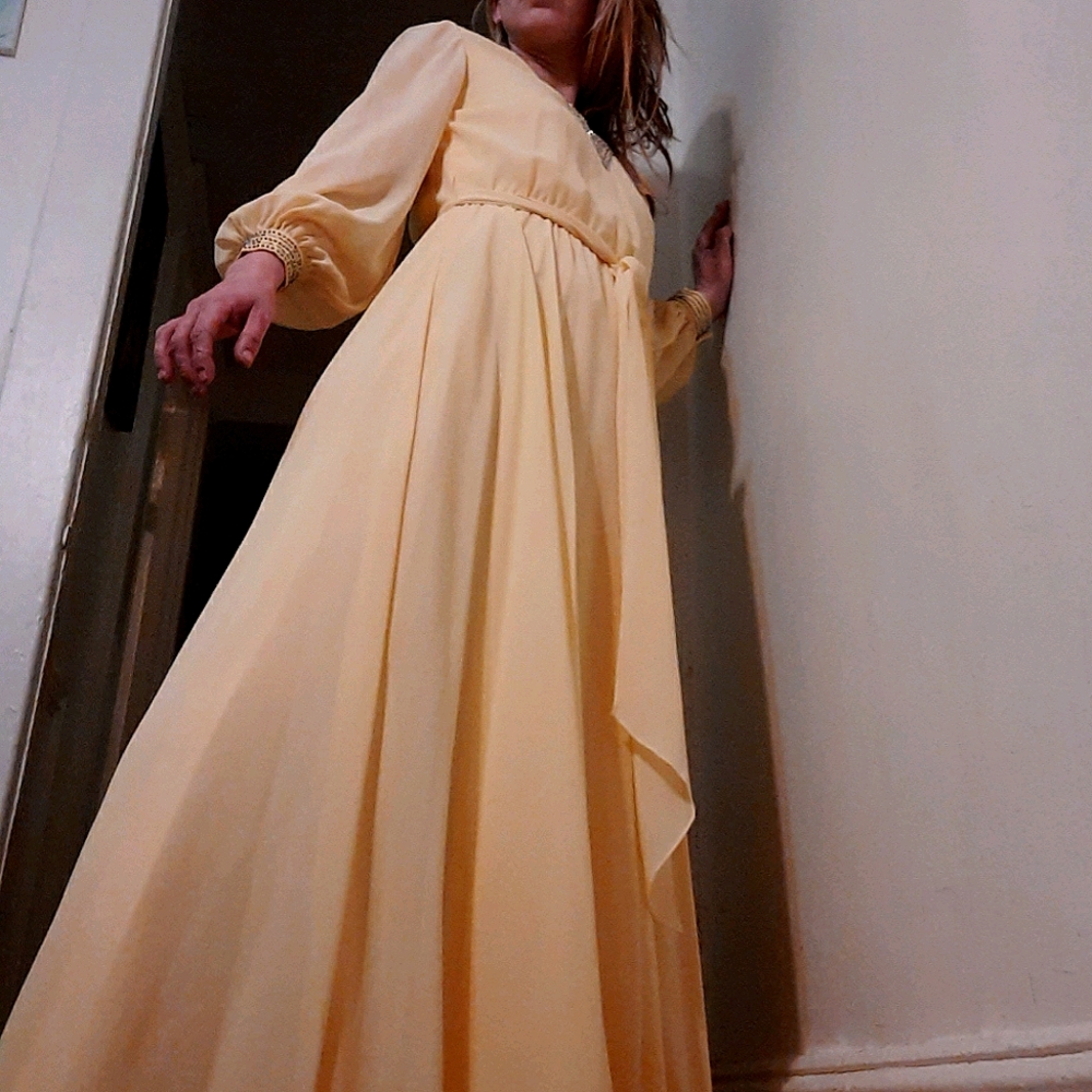 1970's chiffon I.magnin gown w/ rhinestone accents